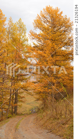 autumn Altai Mountains autumn Altai Mountains 21326194