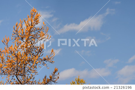 autumn Altai Mountains 21326196
