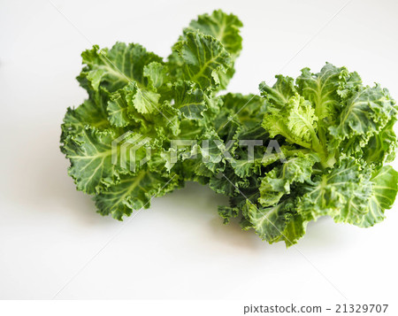 綠色黃色蔬菜小面紗 綠色黃色蔬菜小面紗 21329707