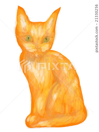 orange tabby kitten orange tabby kitten 21330256