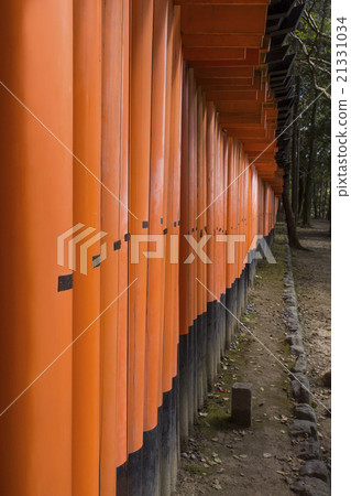 Senbon Torii Fushimi Inari Shrine 21331034