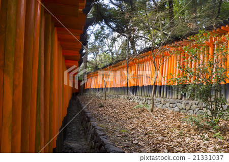 Senbon Torii Fushimi Inari Shrine 21331037