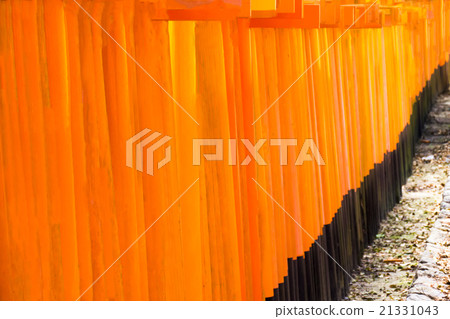 Senbon Torii Fushimi Inari Shrine Senbon Torii Fushimi Inari Shrine 21331043