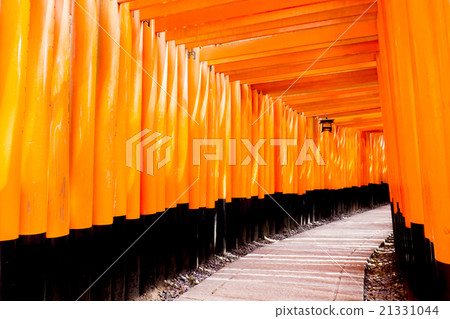 Senbon Torii Fushimi Inari Shrine 21331044