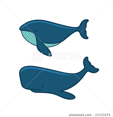Whale Set. Cartoon Style on White Background Whale Set. Cartoon Style on White Background 21331074
