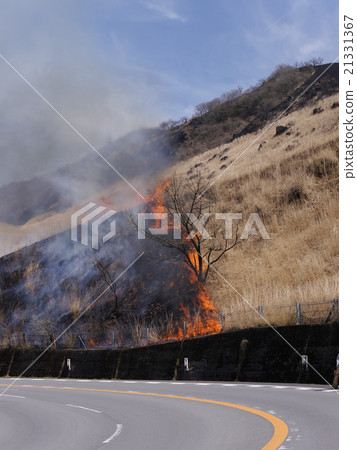 Field burning at Yufu mountain foot Field burning at Yufu mountain foot 21331367