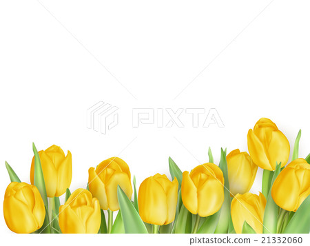 Tulip flowers as a holiday postcard. EPS 10 Tulip flowers as a holiday postcard. EPS 10 21332060