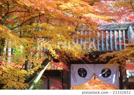 Kyoto Temple in autumn of Kyoto Autumn leaves and medicinal chemistry 21332652