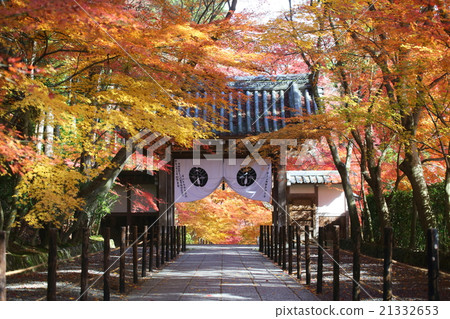Kyoto Temple in autumn of Kyoto Autumn leaves and medicinal chemistry 21332653