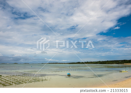 Miyakojima / Asa / Aquaculture 21333015