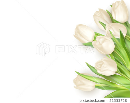 Isolated tulip frame. EPS 10 Isolated tulip frame. EPS 10 21333728