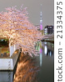 Sky tree and cherry blossoms light up 21334375