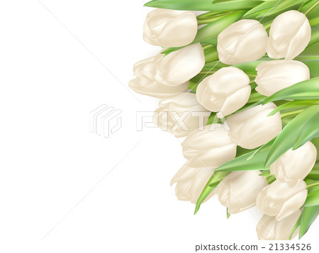Isolated tulip frame. EPS 10 21334526