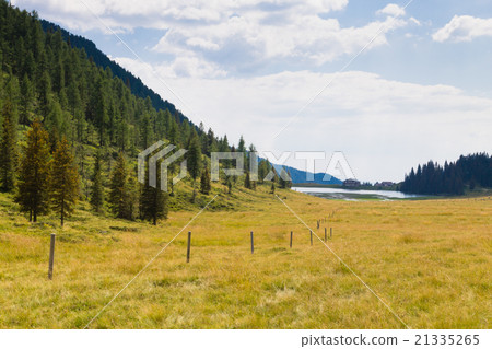 Beautiful alpine panorama 21335265