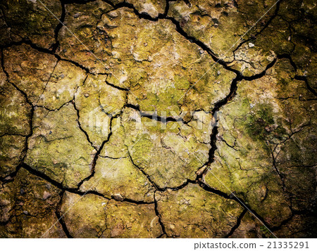 Close up of the cracked ground cover with moss Close up of the cracked ground cover with moss 21335291