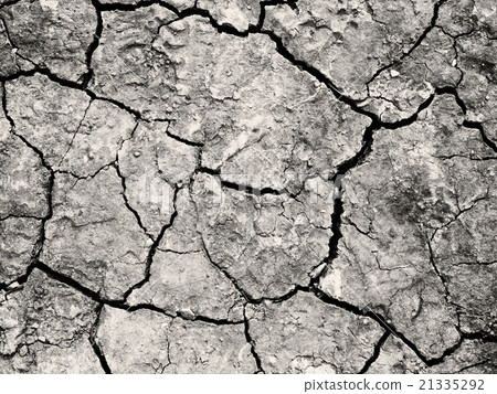 Close up of the cracked ground, dry soil texture Close up of the cracked ground, dry soil texture 21335292