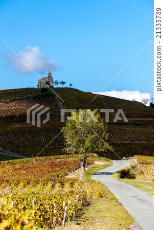 vineyards grand cru in Beaujolais, Fleurie 21335789