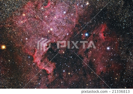 北美星雲和鵜鶘星雲 21336813