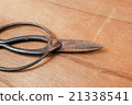 Plant tree scissors 21338541