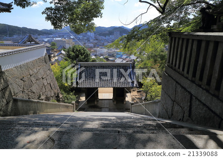 Transfer student stairs falling location location Transfer student stairs falling location location 21339088