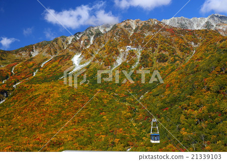 Tateyama Kurobe alpine route's autumn leaves 2 Tateyama Kurobe alpine route's autumn leaves 2 21339103