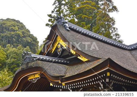 "Shrine" of Oogami Shrine (Omiwa jinja) (Miwa Sakurai City, Nara Prefecture) 21339655