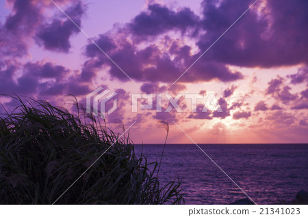 Sunset sky image of the sky Sunset sunset 21341023