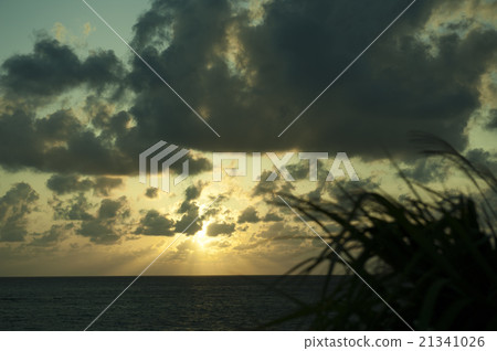 Sunset sky image of the sky Sunset sunset Sunset sky image of the sky Sunset sunset 21341026