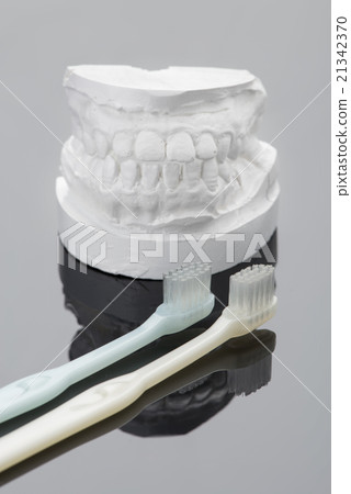 牙齒輪廓和牙刷 牙齒輪廓和牙刷 21342370