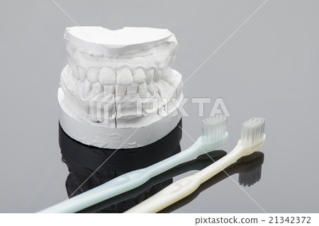 牙齒輪廓和牙刷 牙齒輪廓和牙刷 21342372
