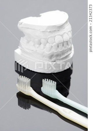 牙齒輪廓和牙刷 牙齒輪廓和牙刷 21342373