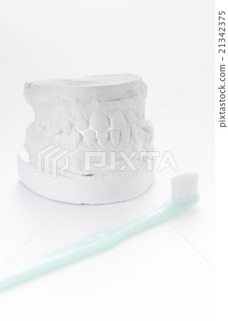 牙齒輪廓和牙刷 牙齒輪廓和牙刷 21342375