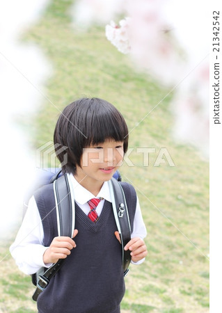 Spring entrance 21342542