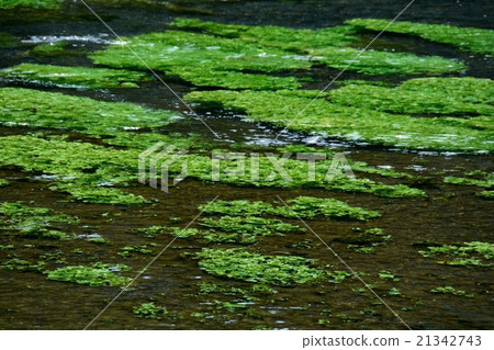 Clean river Clean river 21342743