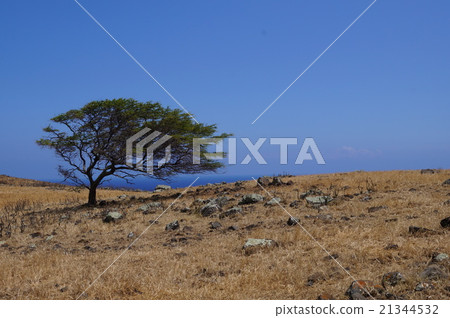 Haleakala的腳在毛伊島的 21344532