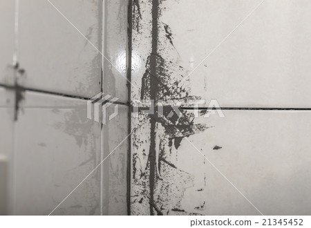ceramic tiles on the wall ceramic tiles on the wall 21345452