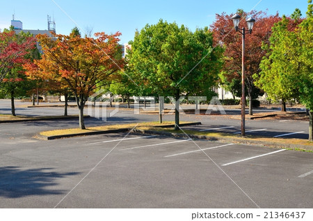Parking Lot Parking Lot 21346437