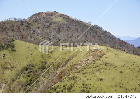 Tanzawa山Hikigatake Tanzawa山Hikigatake 21347775