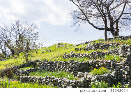 春天來了。 21348034