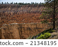 Wiew of Bryce Canyon , Utah, USA 21348195