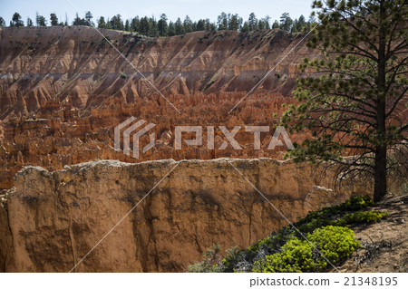 Wiew of Bryce Canyon , Utah, USA 21348195