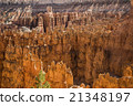 Wiew of Bryce Canyon , Utah, USA 21348197
