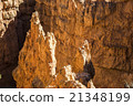 Wiew of Bryce Canyon , Utah, USA 21348199
