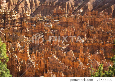 Wiew of Bryce Canyon , Utah, USA 21348200