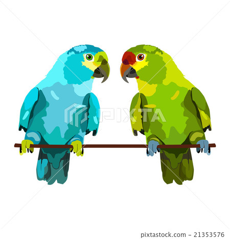 illustration of two parrots - Stock Illustration [21353576] - PIXTA
