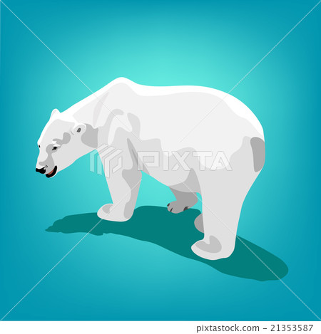 illustration of polar bear 21353587