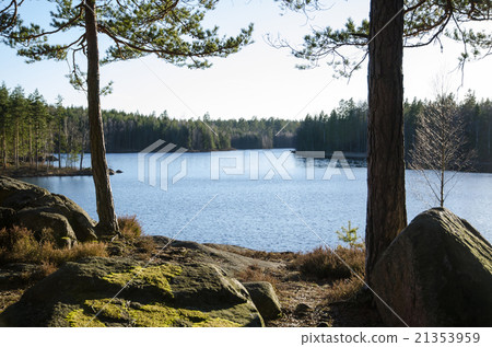Rocks and tree trunks by lakeside 21353959