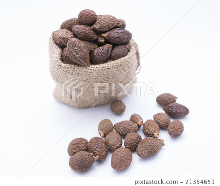 Sterculia lychnophora,Malva nut tree 21354651