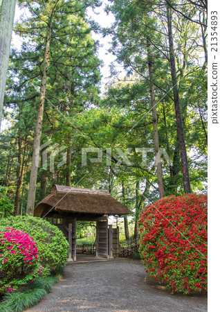 Mizuto Kairakuen Azalea and the gate 21354893