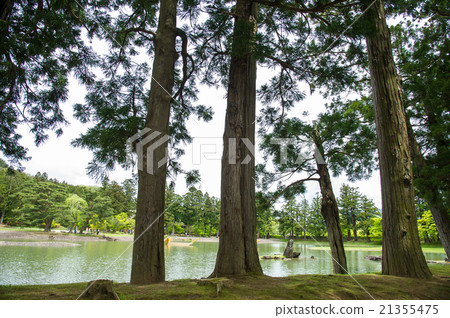 Hiraizumi Hikoshidera Jodo-type garden Hiraizumi Hikoshidera Jodo-type garden 21355475